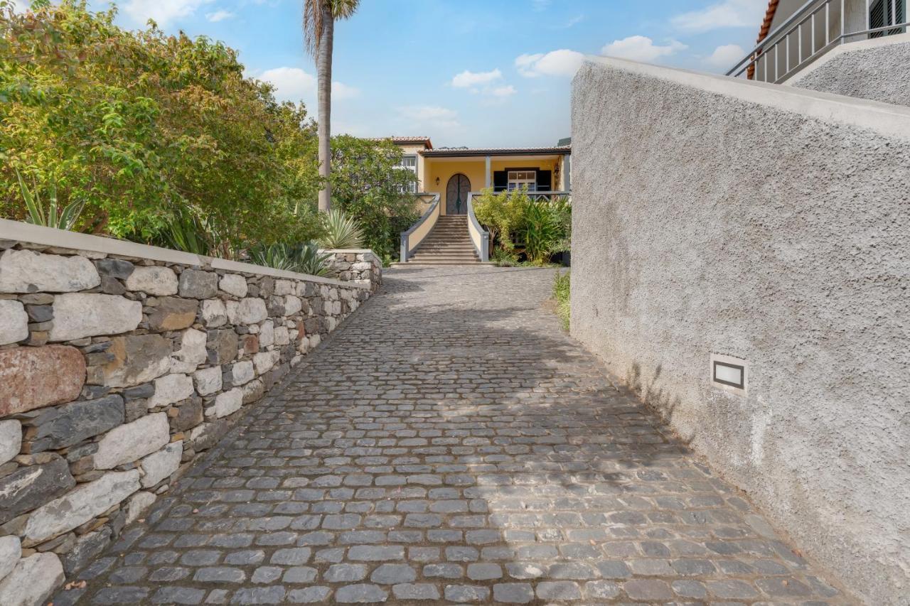 Casa Estufa 25